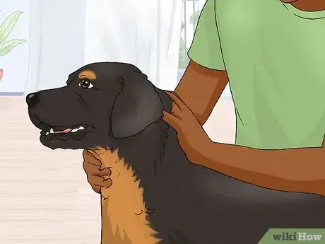 Image titled Use a Rotary Tool to Trim Your Pet's Nails Step 10