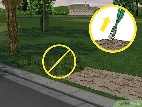 Image titled Plant a Beech Hedge Step 4