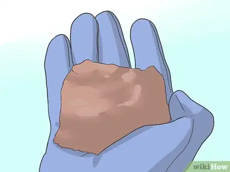 Image titled Plant Sunflower Seeds Step 8