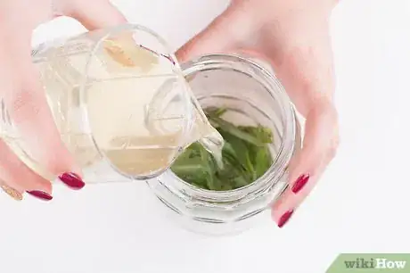 Image titled Make Natural Herbal Oil Step 1