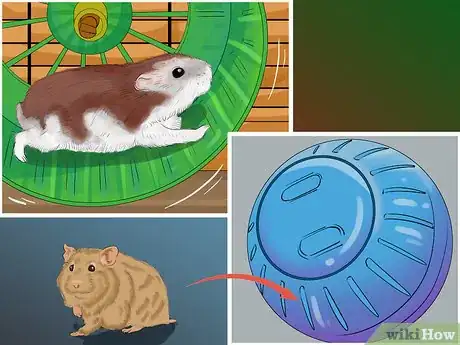 Image titled Care for a Hamster on a Small Budget Step 8
