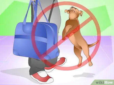 Image titled Discipline a New Puppy Step 11
