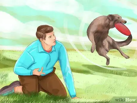 Image titled Stop Your Dog from Misbehaving Dangerously Step 5