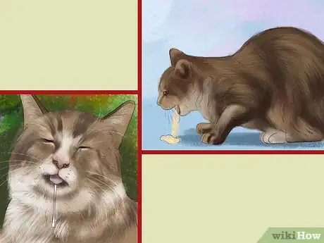 Image titled Protect an Outdoor Cat from Excess Sunlight Step 11