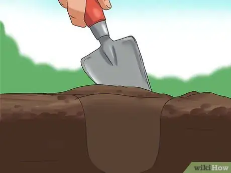 Image titled Grow Sunflowers Step 8