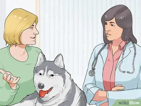 Image titled Bond with a Needy Dog Step 14