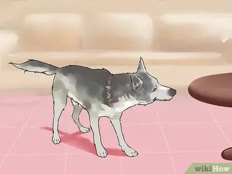 Image titled Responsibly Give a Dog As a Gift Step 11