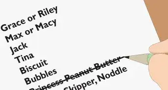 Name a Pet