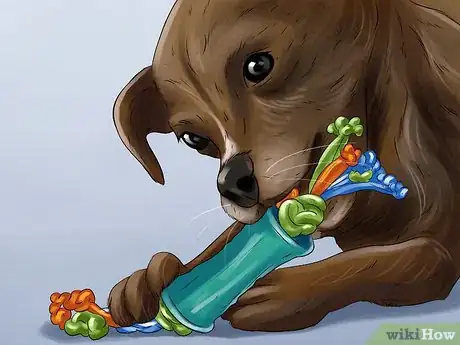 Image titled Choose an Apartment Dog Step 9