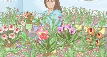 Grow Orchids for Profit