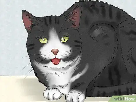 Image titled Spot and Treat Feline Asthma Step 1
