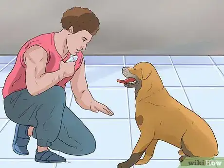 Image titled Care for Your Gun Dog Step 5