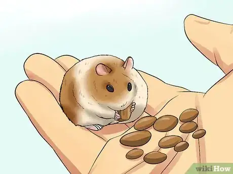 Image titled Tame an Older Hamster Step 13