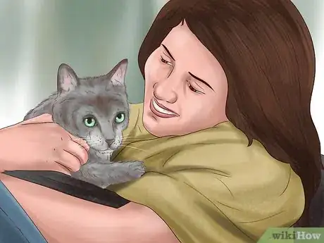 Image titled Pick a Healthy Adult Cat Step 13