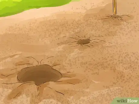 Image titled Harvest Heartsease Step 3