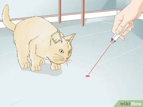 Image titled Keep an Indoor Cat Active Step 4