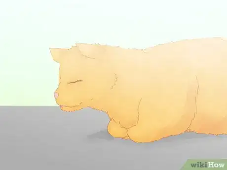 Image titled Handle a Stray Cat Step 37