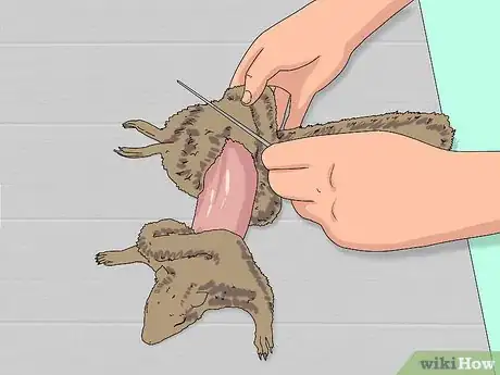 Image titled Skin a Squirrel Step 1