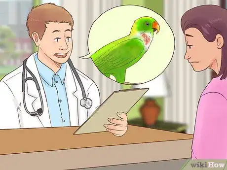 Image titled Treat Polyomavirus in Caique Parrots Step 7