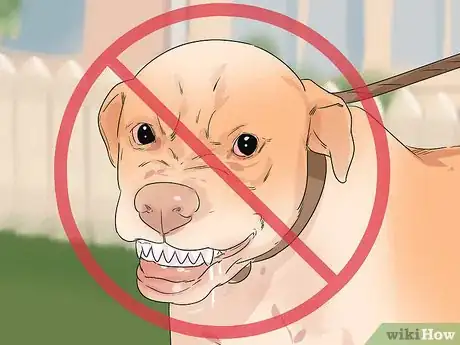 Image titled Introduce Your New Dog to Dogs in the Neighborhood Step 14