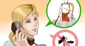 Catch a Lizard in the House