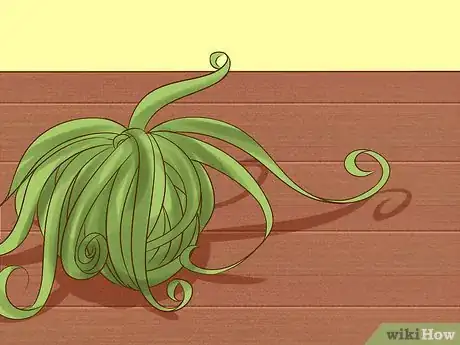 Image titled Care for Air Plants Step 4