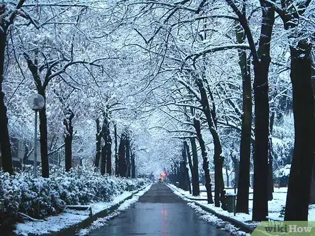 Image titled Survive a Winter in Buffalo, NY Step 6