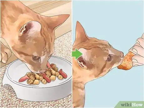 Image titled Feed Cats Table Scraps Step 8