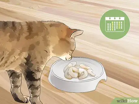 Image titled Feed Cats Table Scraps Step 7