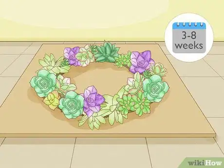 Image titled Make a Succulent Wreath Step 8