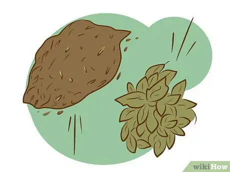 Image titled Kill Collembola Step 6