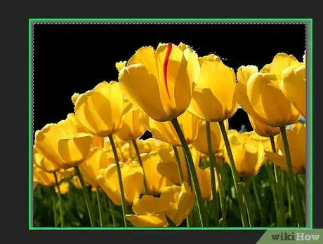 Image titled Make Tubes in Paint Shop Pro Step 9