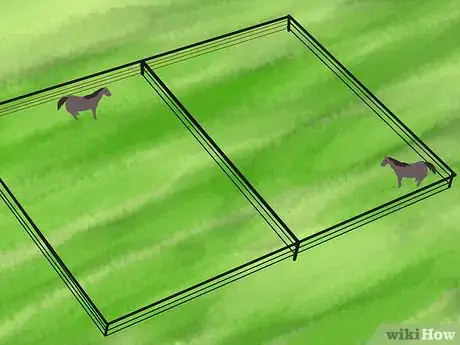 Image titled Care for an Arabian Horse Step 5