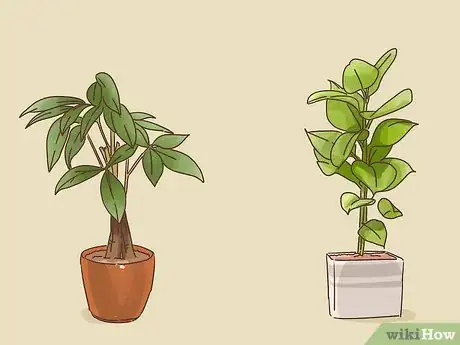 Image titled Choose Plants for Good Feng Shui Step 12