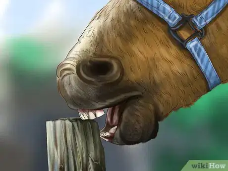 Image titled Reprimand a Pet Step 9