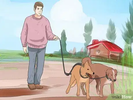 Image titled Walk Two Dogs with One Leash Step 5