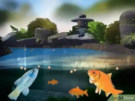 Image titled Care for Your Pond Step 4