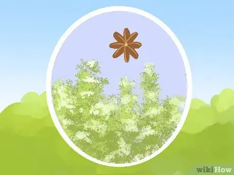 Image titled Plant a Deer‐Resistant Garden Step 9