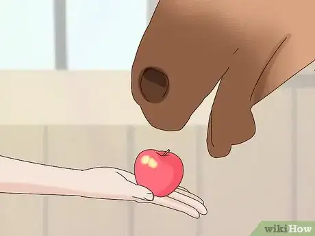 Image titled Feed a Horse Treats Step 8