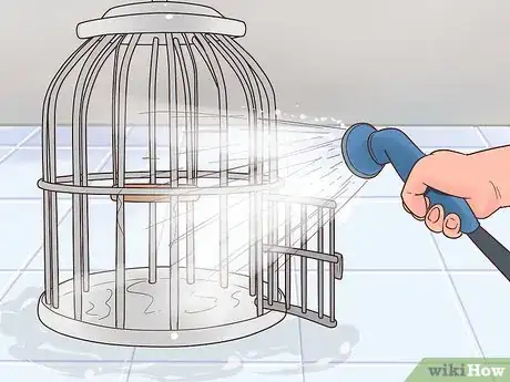 Image titled Treat Polyomavirus in Caique Parrots Step 9