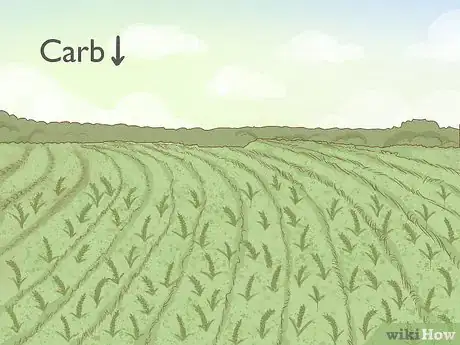 Image titled Control Locusts Step 9