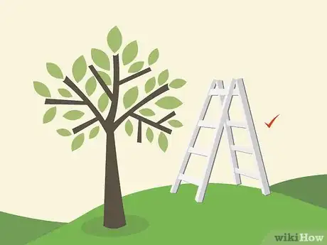 Image titled Prune an Avocado Tree Step 04