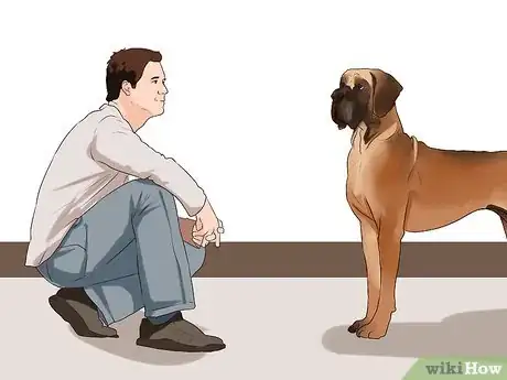 Image titled Choose a Laid‐Back Dog Step 16