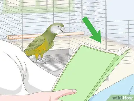 Image titled Deal with a Fearful or Stressed Senegal Parrot Step 16