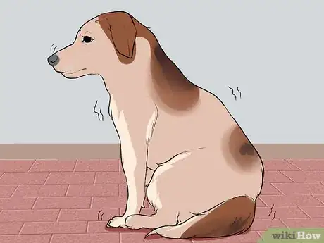 Image titled End Dog Separation Anxiety With Desensitization Step 7