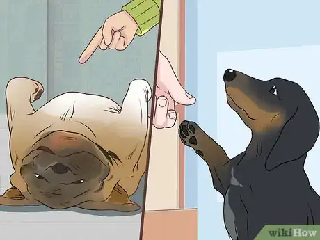 Image titled Support a Dog with Dementia Step 7