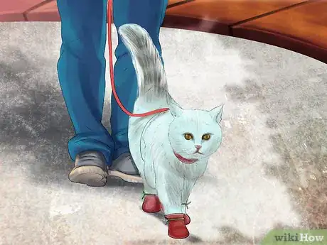 Image titled Get a Cat Used to Snow Step 6