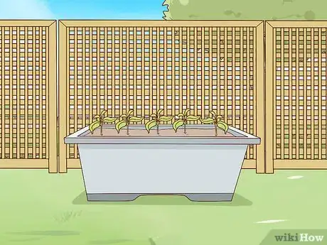 Image titled Plant Turing Sunflowers Step 5