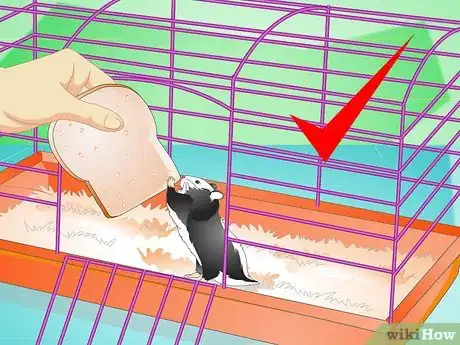 Image titled Keep a Hamster Healthy Step 7