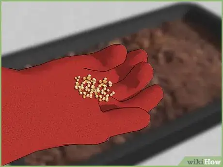Image titled Plant a Seed Step 5